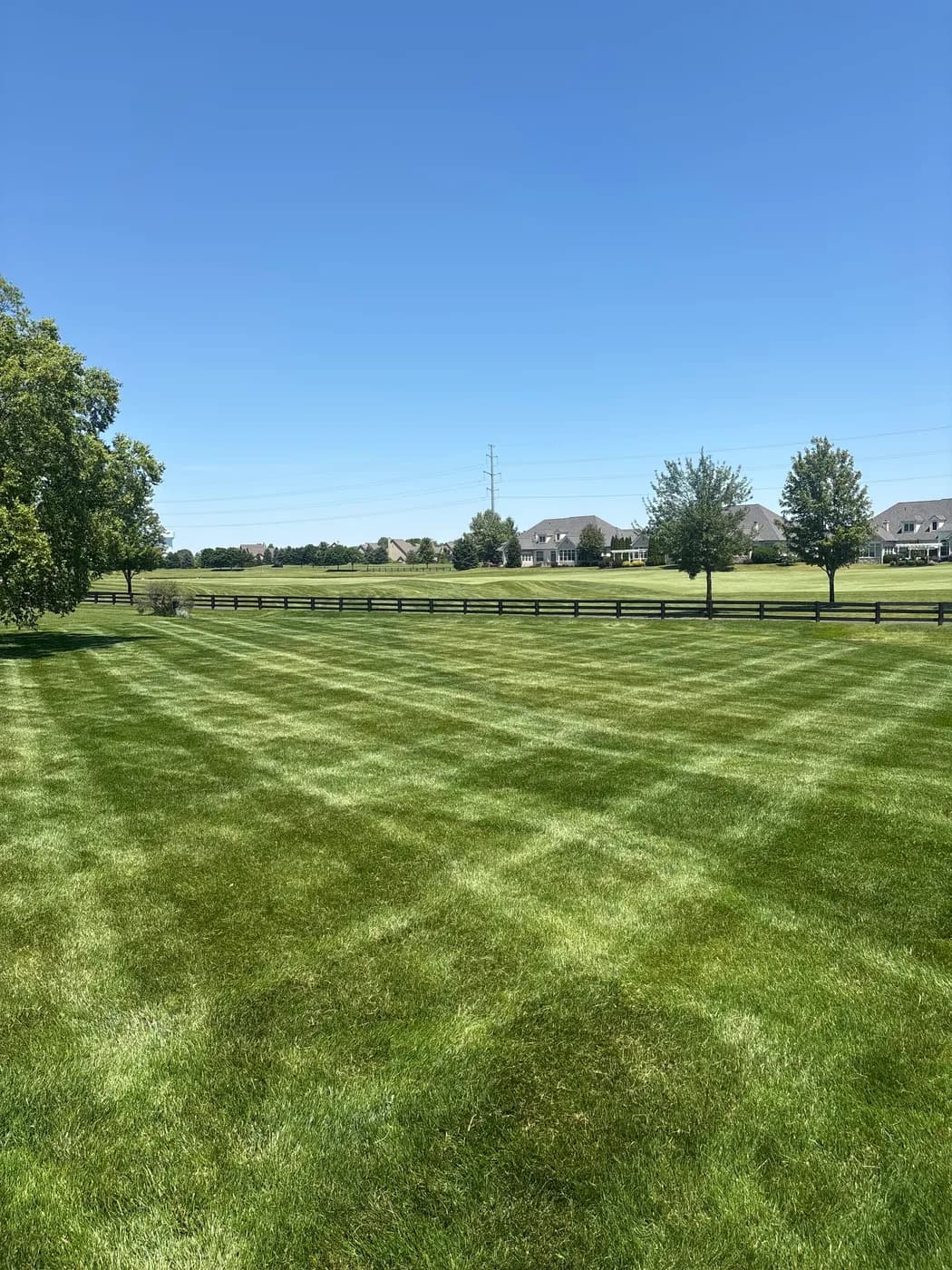 Thick, healthy checkerboard lawn on a large open property