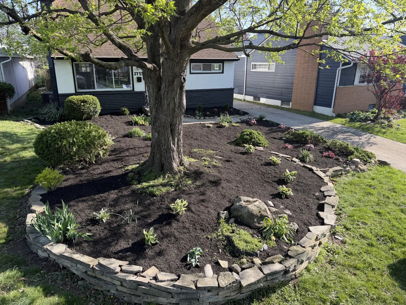 Stone-edged landscape bed with fresh mulch around a mature tree