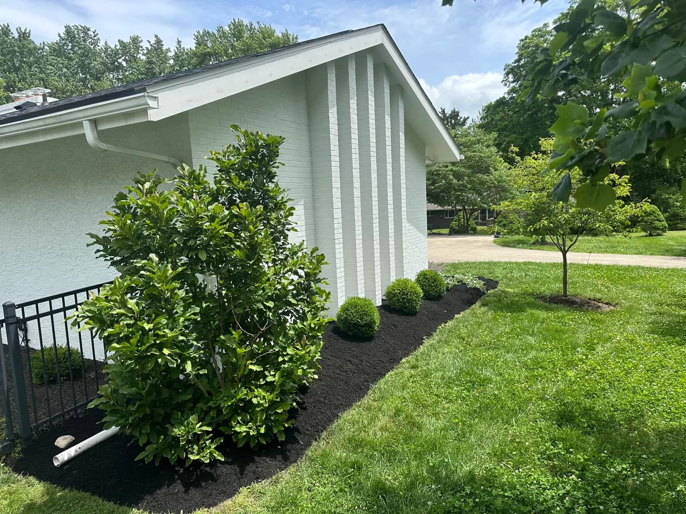 Fresh black mulch beds along a white brick home