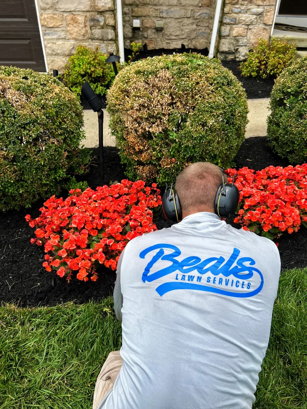 Beals Lawn Services crew member planting flowers in a mulched bed
