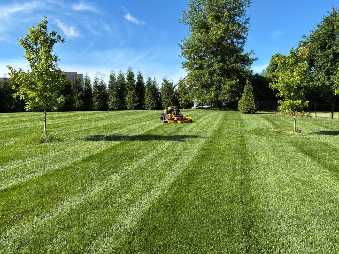 Stand-on mower cutting clean stripes across a residential lawn